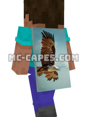 Flying Eagle Minecraft cape worn on a player