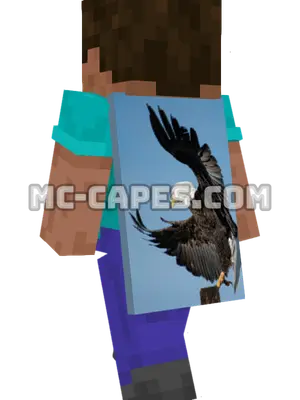 Flying Eagle Minecraft cape worn on a player