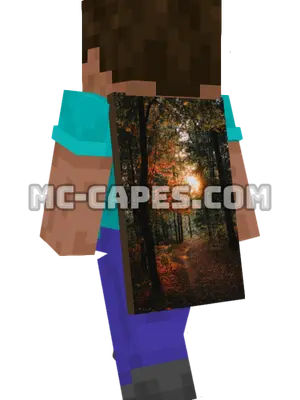 Forest Sunlight Minecraft cape worn on a player