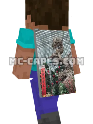 Garden Dragon Minecraft cape worn on a player