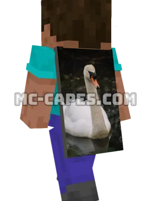 Gliding Swan Minecraft cape worn on a player