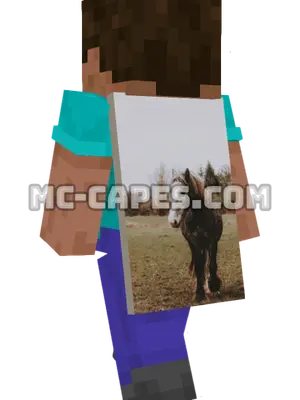 Graceful Horse Minecraft cape worn on a player