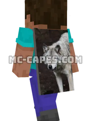 Grey Wolf Minecraft cape worn on a player