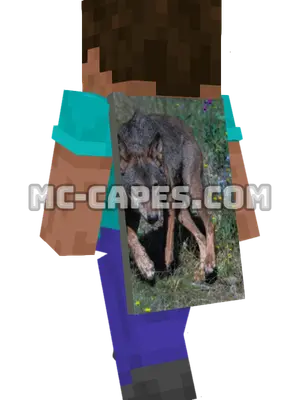 Grey Wolf Prowling Minecraft cape worn on a player