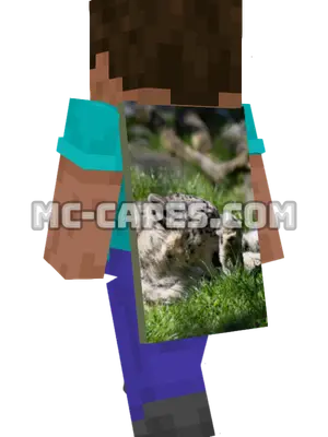 Grooming Snow Leopard Minecraft cape worn on a player