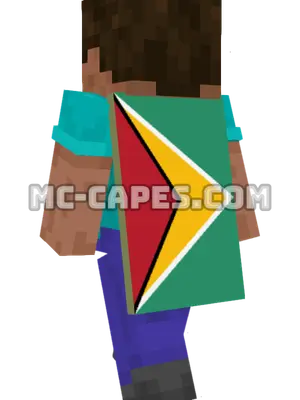 Guyana Flag Minecraft cape worn on a player