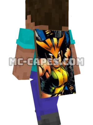 Hawkgirl Minecraft cape worn on a player