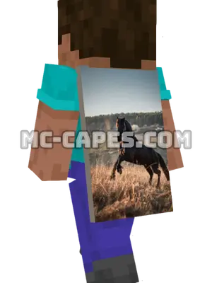 Horse Minecraft cape worn on a player