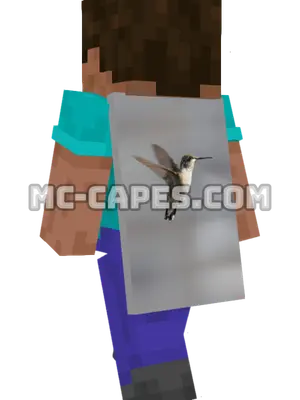 Hovering Hummingbird Minecraft cape worn on a player