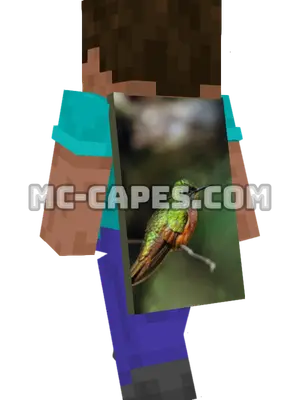 Hummingbird Minecraft cape worn on a player