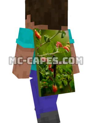 Hummingbird and Flowers Minecraft cape worn on a player