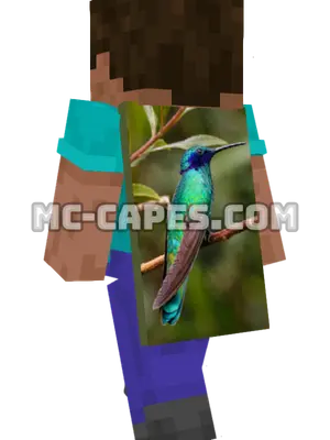 Hummingbird Branch Minecraft cape worn on a player