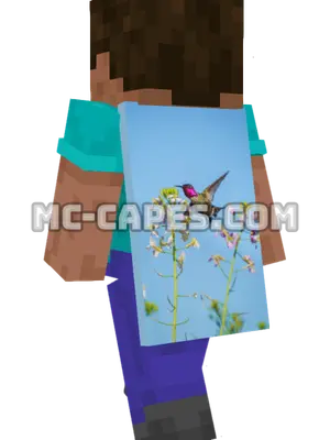Hummingbird Flowers Minecraft cape worn on a player