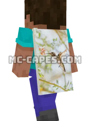 Hummingbird Flying Minecraft cape worn on a player