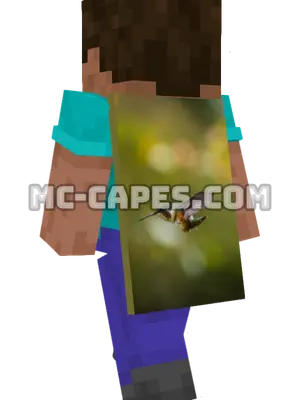 Hummingbird in Flight Minecraft cape worn on a player