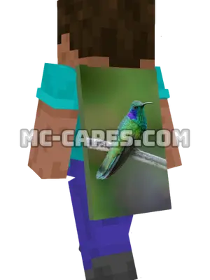 Hummingbird Perch Minecraft cape worn on a player