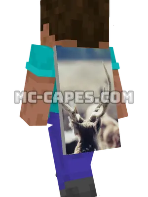 Indian Stag Minecraft cape worn on a player