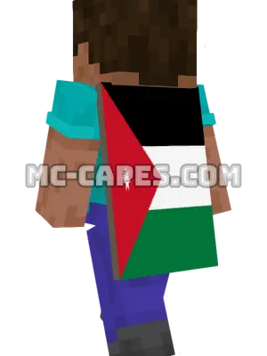 Jordan Flag Minecraft cape worn on a player