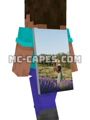 Lavender Field Basket Minecraft cape worn on a player