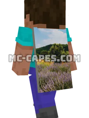 Lavender Field Minecraft cape worn on a player