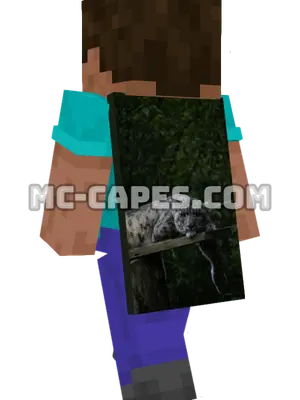 Leopard on Branch Minecraft cape worn on a player