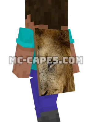 Lion Eye Minecraft cape worn on a player