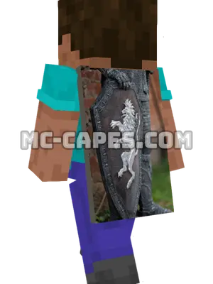 Lion Knight Armor Minecraft cape worn on a player
