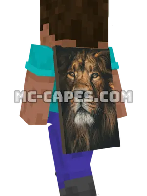 Lion Mane Minecraft cape worn on a player