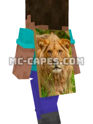 Lion Portrait Minecraft cape worn on a player