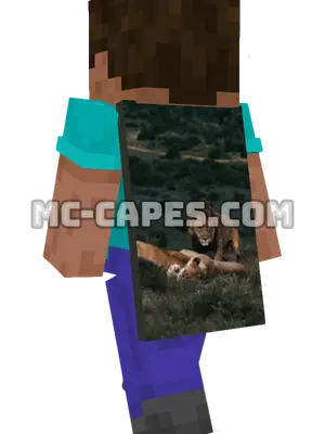 Lionesses Resting Minecraft cape worn on a player
