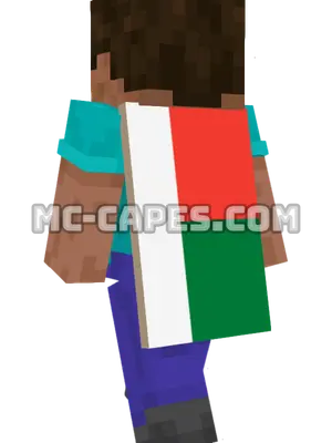 Madagascar Flag Minecraft cape worn on a player