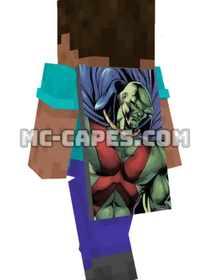 Martian Manhunter Minecraft cape worn on a player