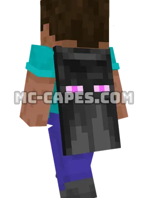 MineCon 2016 Minecraft cape worn on a player