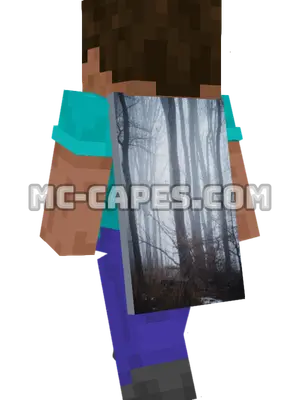 Misty Bare Trees Minecraft cape worn on a player