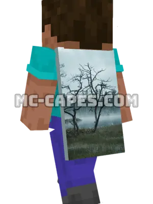 Misty Trees Minecraft cape worn on a player