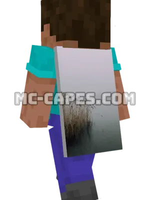 Misty Wetland Minecraft cape worn on a player