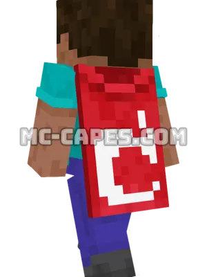 Mojang Minecraft cape worn on a player