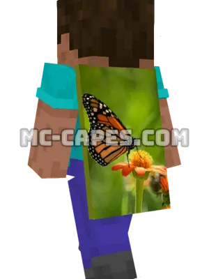 Monarch Butterfly Minecraft cape worn on a player
