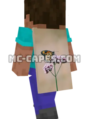 Monarch Butterfly Minecraft cape worn on a player