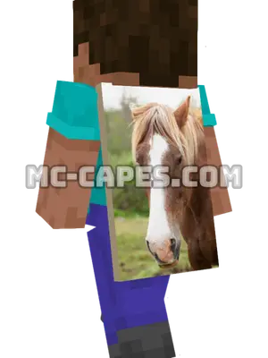 Mont Dore Horse Minecraft cape worn on a player
