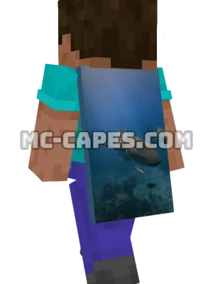 Nurse Shark Minecraft cape worn on a player