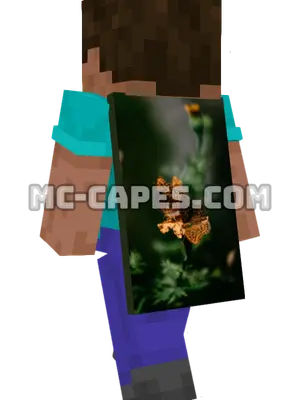 Orange Butterflies Minecraft cape worn on a player