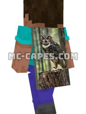 Owl Minecraft cape worn on a player