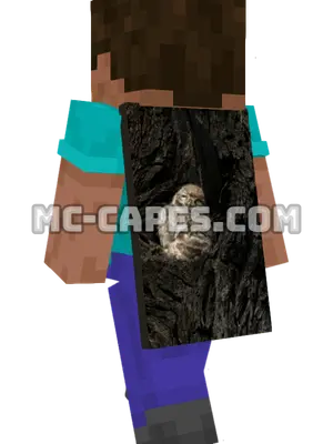 Owlets Nest Minecraft cape worn on a player