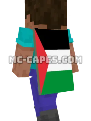 Palestine Flag Minecraft cape worn on a player
