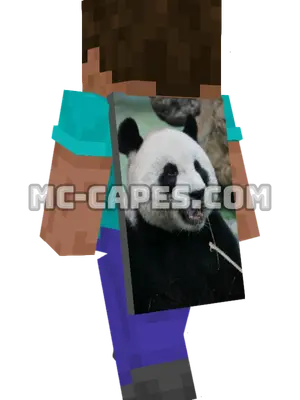 Panda Minecraft cape worn on a player