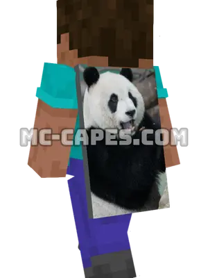 Panda Eating Minecraft cape worn on a player