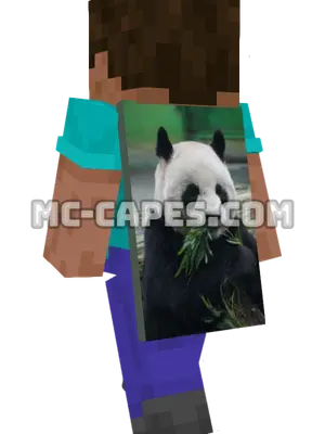Panda Eating Bamboo Minecraft cape worn on a player