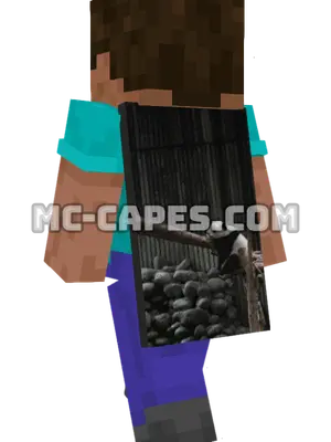 Panda on Wood Minecraft cape worn on a player