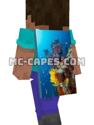Papua Coral Reef Minecraft cape worn on a player